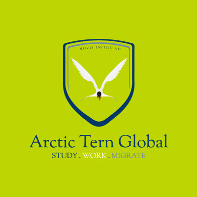 Arctic-Tern-Global-Webzeee